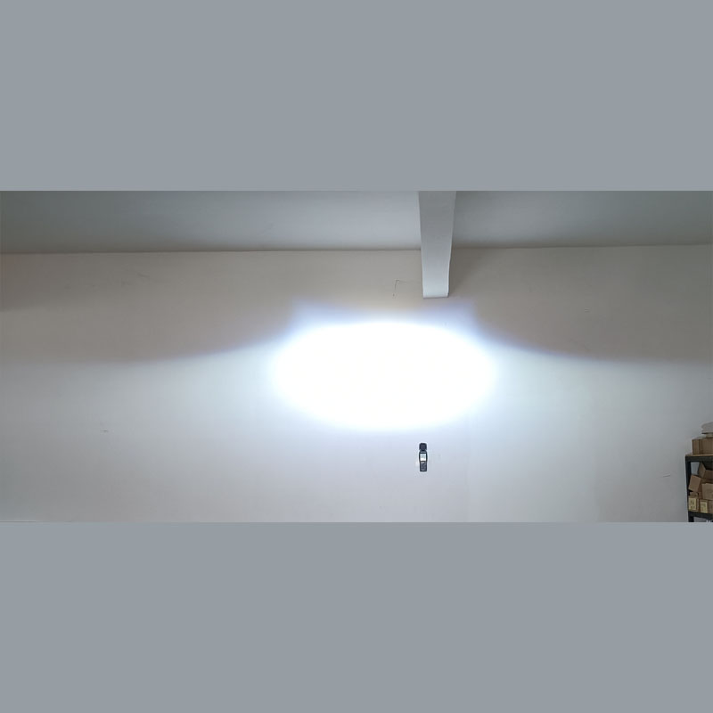 VAHID-E16-3.0 inch-Y tail